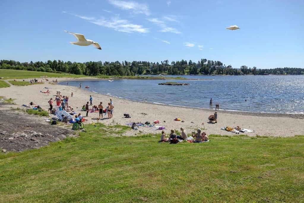 Appartement Scandpoint Fornebu Near Sea Front With Outdoor Walk! Stabekk