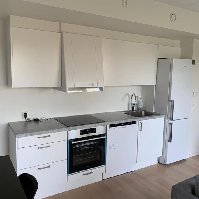 Scandpoint Fornebu Near Sea Front With Outdoor Walk! Stabekk